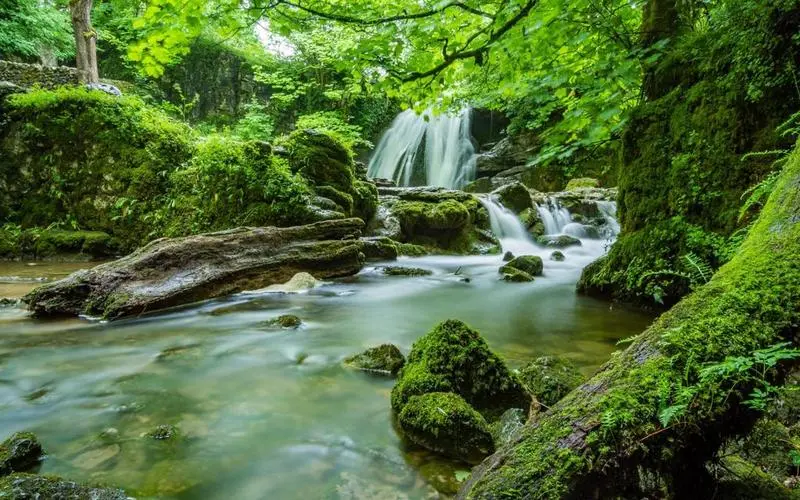 高端智能制造自动化